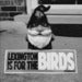 Image of For The Birds Bumper Sticker