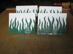 Image of Seaweed