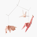 Image of Zoo mobile - Varese