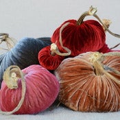 Image of Velvet Plush Pumpkin Design Large Set