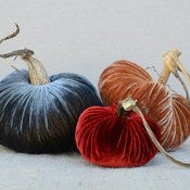 Image of Velvet Plush Pumpkin Design Trio