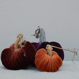 Image of Velvet Plush Pumpkin Royal Trio