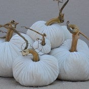 Image of Velvet Plush Pumpkin Snow Large Set