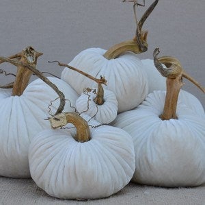 Image of Velvet Plush Pumpkin Snow Large Set