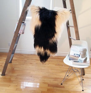 Image of Large Spotted Sheepskin SP-118