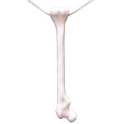 Image of Femur Bone Necklace