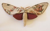 Image of Moth Butterfly Soft Sculpture Upholstery Fabric