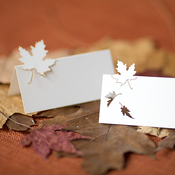 Image of autumn place cards