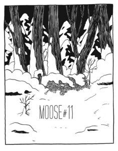 Image of Moose #11