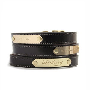 Image of Distinguished Collar (Black) 