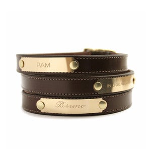 Image of Distinguished Collar (Sepia)