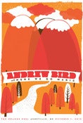 Image of Andrew Bird in Asheville poster
