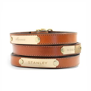 Image of Distinguished Collar (Chestnut) 