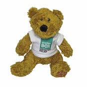 Image of ShelterBox Bear
