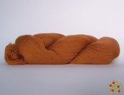 Image of Wetterhoff Veera 456