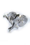 Image of Elephant Ring 3D