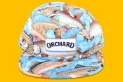 Image of Orchard Brand Off The Hook Blue Text Logo 5 Panel 
