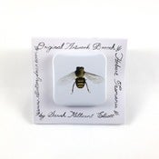 Image of Honey Bee Brooch