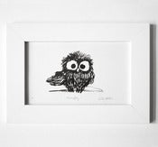 Scruffy Framed Print