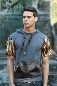 Image of WILD TiGER GREY (SHORT SLEEVE ) 