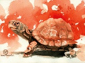 Image of (Daily Painting) Turtle