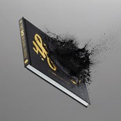 Image of Niels Shoe Meulman: Painter