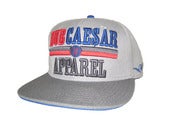 Image of Hustle Smarter Snapback Grey