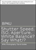 Image of Shutter Speed, ISO, Aperture, White Balance? Say what!?  