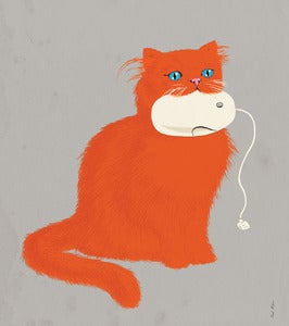 Image of Cat & Mouse