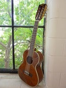 Image of Kala Mhgy Tenor 8 String EQ/PU