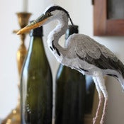 Image of HERON