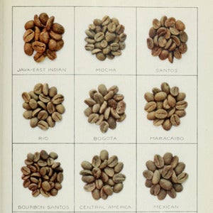 Image of Coffee Slimming