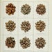 Image of Coffee Slimming