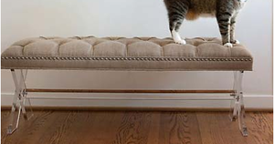 Image of X Bench