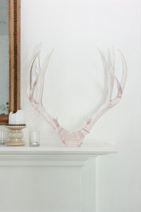 Image of  Deer Rack