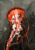 Image of (Daily Painting) Jellyfish