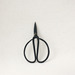 Image of pretty garden shears