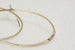 Image of Eclipse earrings