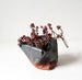 Image of Free-form folded planters