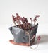 Image of Free-form folded planters
