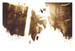 Image of Avatar