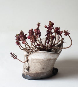 Image of Ombre Free-Form Folded Planter