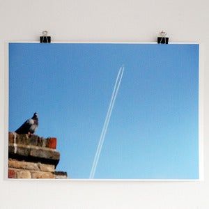 Image of 'Pigeon and Plane' A2 giclee print