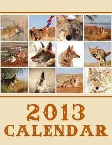 Image of SUPER SALE! 2013 Charlie Calendar