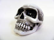 Image of Small Skull - Pearl White