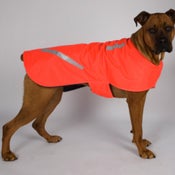 Image of FLO-ORANGE | SIZE: LARGE