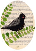 Image of Birdie 107