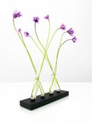 Image of Adaptation Vase (aluminum/black)