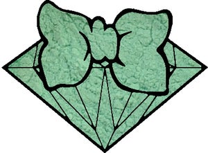 Image of STELLA