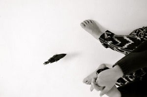 Image of cocon bird (midnight blue)